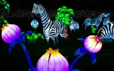 L&rsquo;Odyssée Lumineuse 2025-2026 – Parc Bordelais