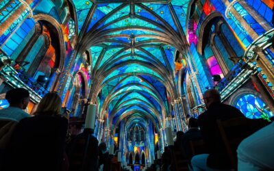 LUMINISCENCE à la Cathédrale Saint-André (Bordeaux)