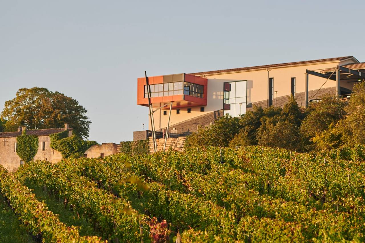 Château La Croizille Saint-Émilion Grand Cru - Visite et dégustation