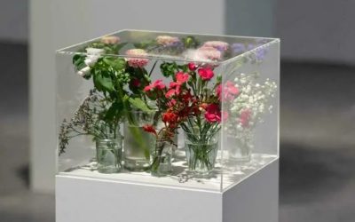 Exposition « Pollen » au CAPC Musée d&rsquo;Art Contemporain de Bordeaux