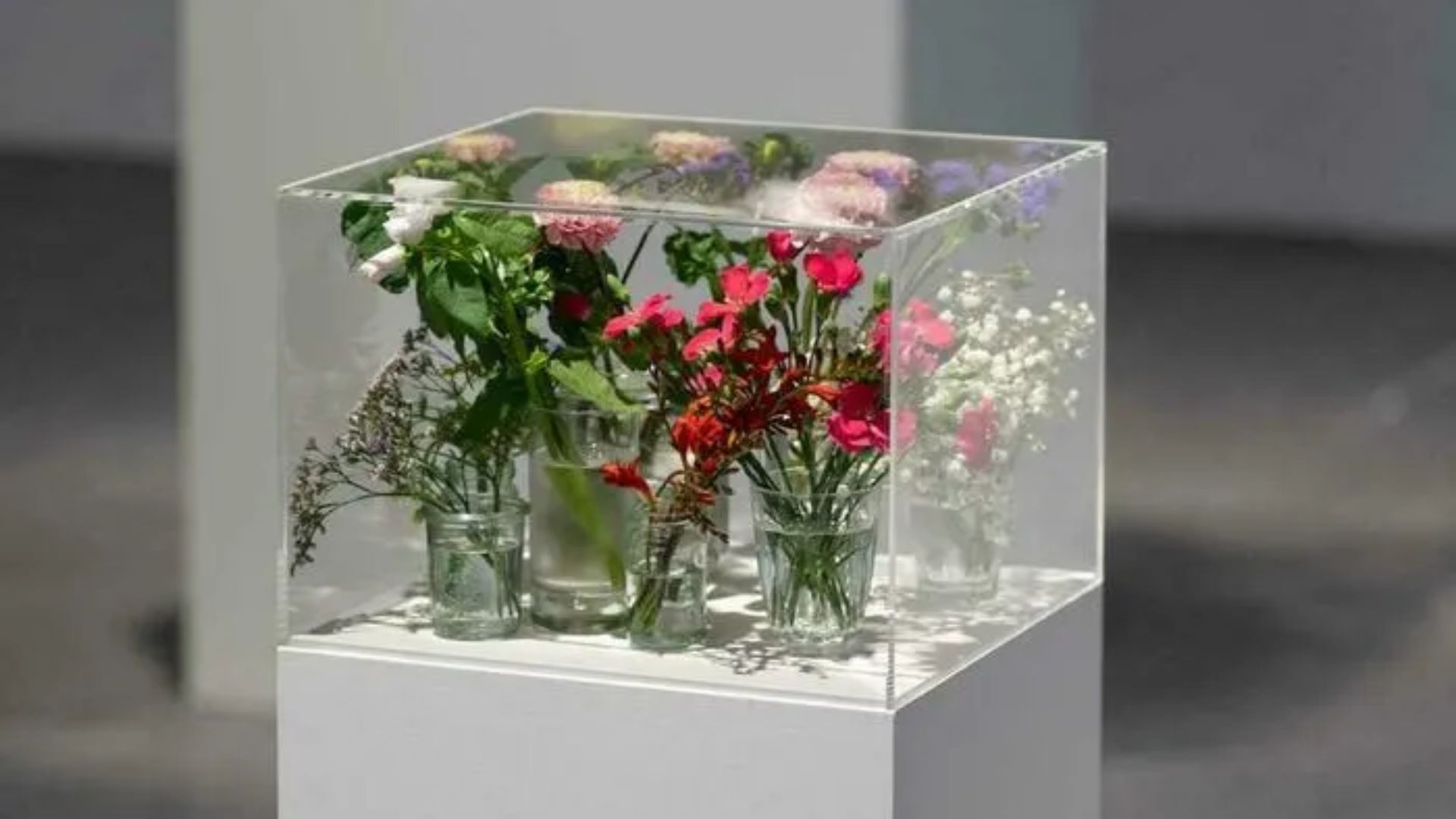 Exposition Pollen au CAPC Musée d'Art Contemporain de Bordeaux