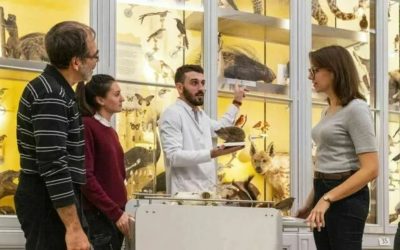 Journées Européennes du Patrimoine et du Matrimoine à Bordeaux le 19 et 20 septembre 2026