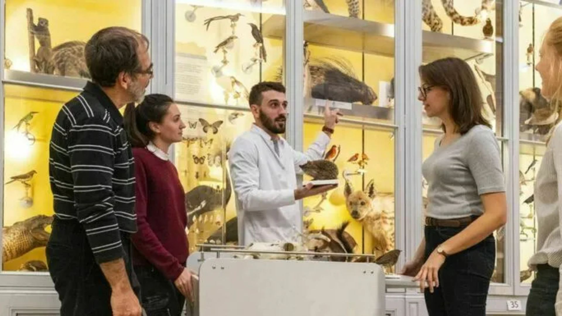 Journées Européennes du Patrimoine et du Matrimoine à Bordeaux 2026